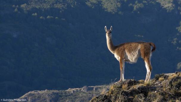 Parque Patagonia