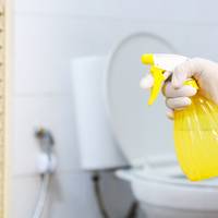 Waarom droogtrommeldoekjes ideaal zijn voor het schoonmaken van je wc