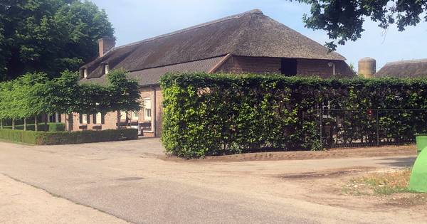 Harddrugs gebruikt op feestje Milheeze waar dode (29) in zwembad werd gevonden