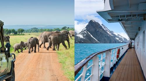 Safari in Kenia of cruise naar Antarctica?