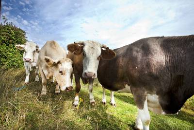 Miljoenen voor duurzame landbouw in Brabant