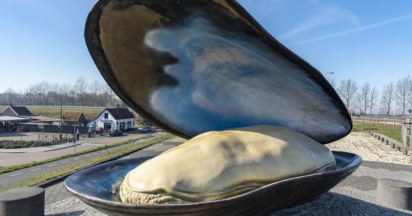 Reparatie in zicht voor ontplofte mossel in Bruinisse