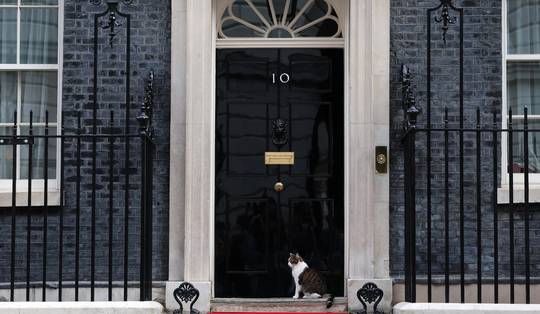 Nieuw huisdier in Downing Street 10, beroemde Larry the Cat krijgt gezelschap