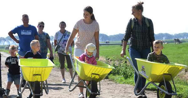 Als ze na een bezoek aan Tricht maar weten dat melk niet uit de fabriek komt - De Gelderlander