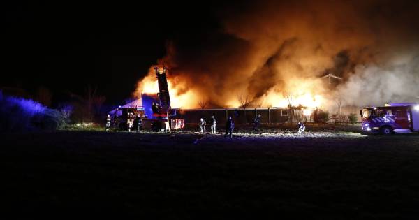 Meer dan tweeduizend varkens dood bij schuurbrand in Mill - De Gelderlander