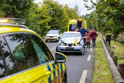 Automobilist gewond bij aanrijding met hert in Laag-Soeren; faunabeheerder schiet dier af