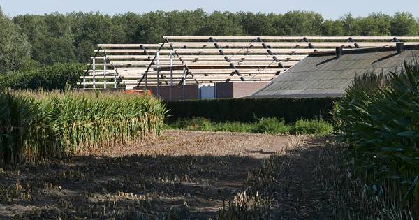 Boxtel gaat akkoord met uitbreiding varkensbedrijf in Liempde