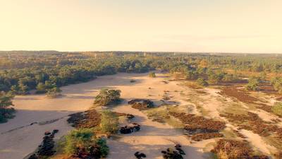 Prachtige dronebeelden: Soesterduinen in herfstkleuren