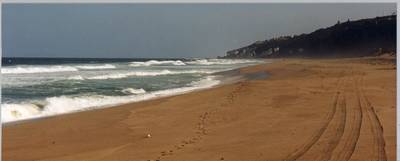 Nederlander verdronken na muistroom in Zuid-Afrika