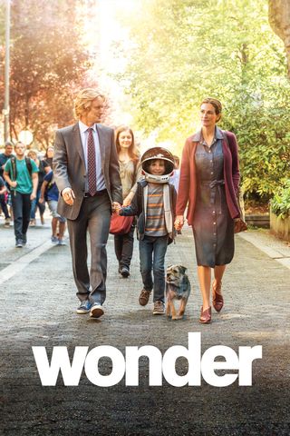 Wonder