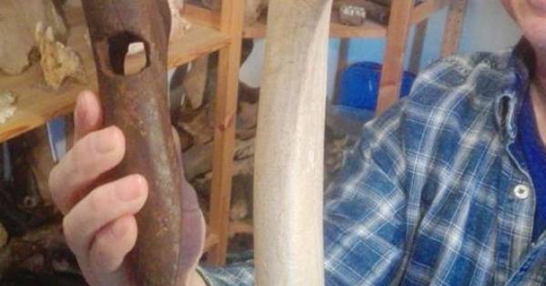 Bij Dreumel komen unieke prehistorische bijlen van gewei uit de klei