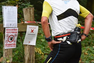 Inmiddels 155 gevallen van varkenspest in België