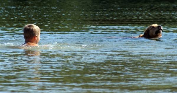 Recreatieplas Collendoorn via tunnel bereikbaar voor parkgasten | Hardenberg - De Stentor