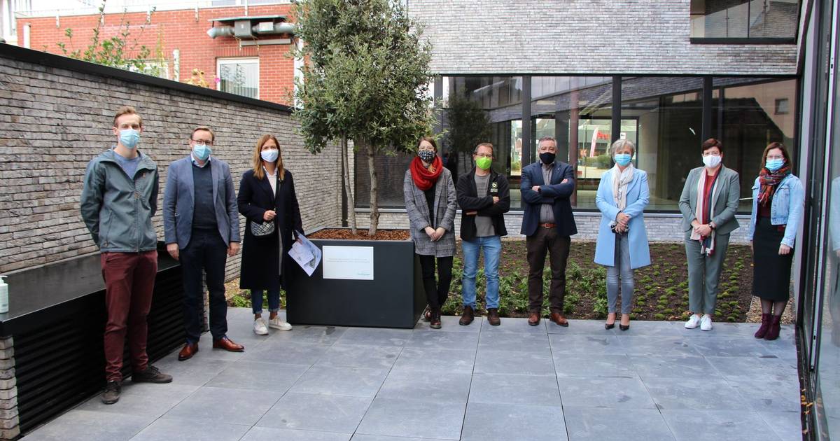 Inrichting van bibliotheek Opglabbeek op nieuwe locatie gaat van start