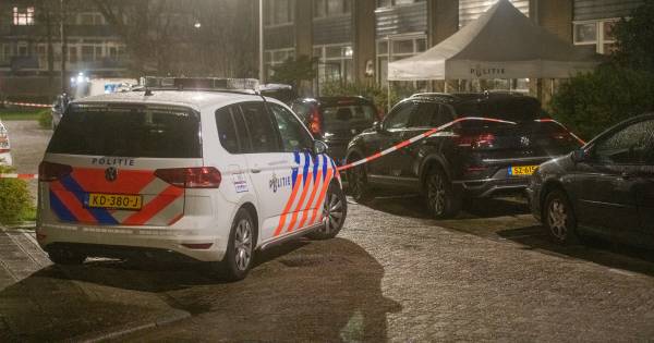 UPDATE Bij een steekpartij aan de Robijnstraat in Alphen is vannacht een 16-jarige jongen uit Amsterdam overleden.