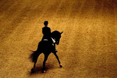 Incident concours Achterhoek gelinkt aan #metoo-affaire Duitse paardensport