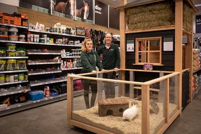 Konijnen te kijk, niet te koop, wel te adopteren