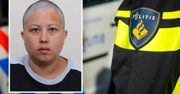 Bezoeker Psy-fi vermist na festival, politie vraagt hulp publiek - AD.nl