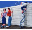 Geneticus ziet in DNA belangrijkste voorspeller: ‘Hoe je je kind opvoedt, doet er minder toe dan je denkt’