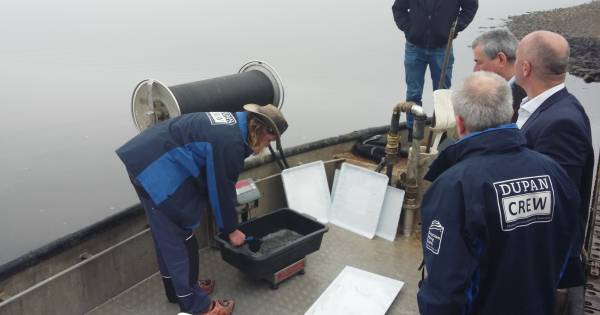 Meer dan twee miljoen glasaaltjes uitgezet in de Zeeuwse wateren