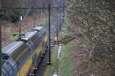 Vertraging op het spoor door omgevallen boom bij Oosterbeek voorbij
