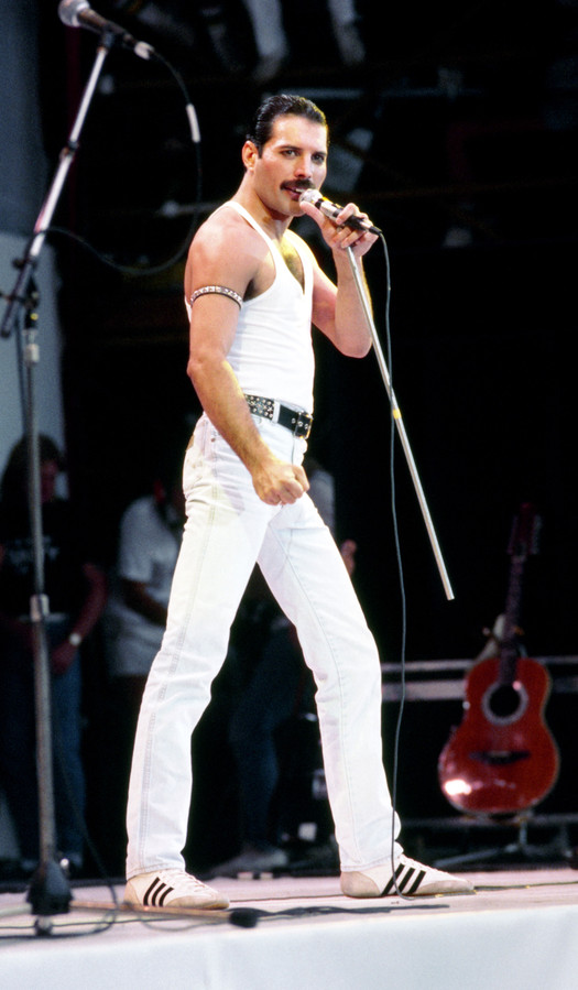 Film Bohemian Rhapsody: leve Freddie Mercury de koningin | Foto ...