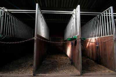 Manege Bavel kort ontruimd wegens gaslek, paarden naar buiten
