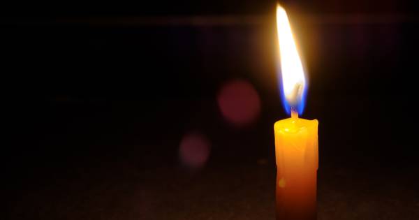 Lichaam vermiste man uit Boxmeer gevonden in bos bij Afferden