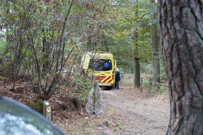 Slachtoffer boos na aanval hoornaars: 'Desnoods stook ik het nest af'