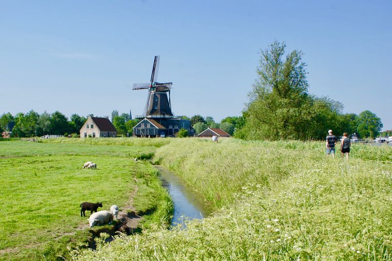 Het Sint-Odulphuspad voert door de 'Friese Ardennen': het mooiste wat de provincie te bieden heeft -