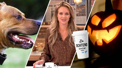 De Ochtend Show to go over hondenprotesten en Halloween