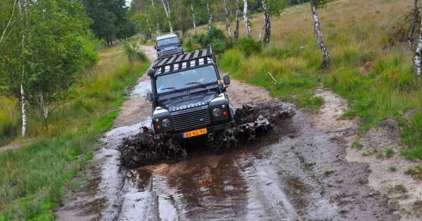 Je kijkt je ogen uit bij de reeëntocht van Staatsbosbeheer in Leende: Stop! Kijk! Links, op negen uu