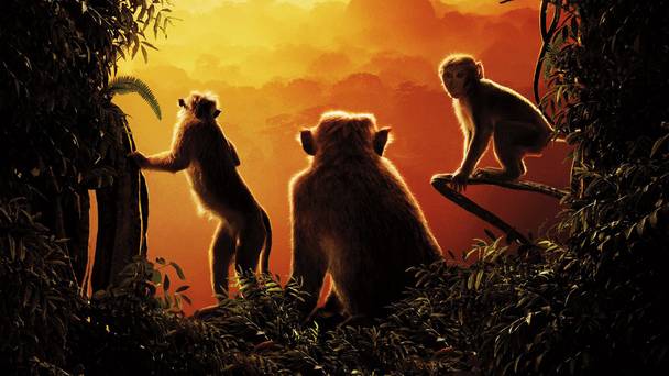 Monkey Kingdom