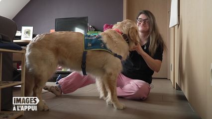 10. Jamais sans mon chien !