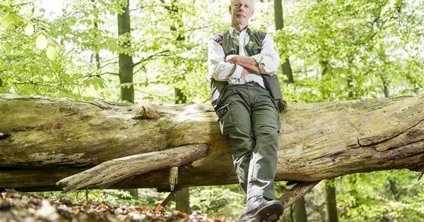 Wisseling van de wacht op Springendal: boswachter Roel Korbee vertrekt na bijna 40 jaar - Tubantia