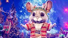 Feliz Navidad van Chinchilla