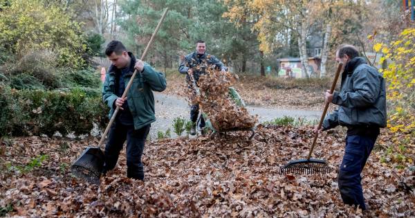 Lekker buiten én binnen klussen met Sjaloom op Calfven