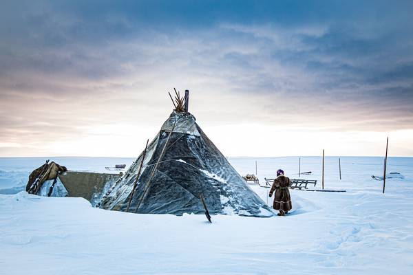 Nenets vs gas