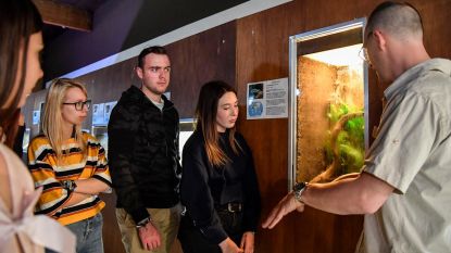 Slangen, schildpadden en spinnen in zaal Den Bond