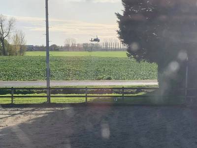 Heli scheert rakelings over manege, ‘dit is extreem; levensgevaarlijk’