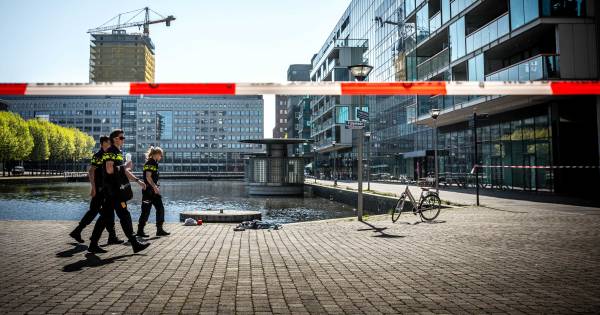 @BeedeGee @Elise_Nederland Malek was 'verward'.