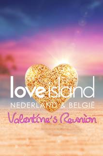 Love Island Valentine's Reunion