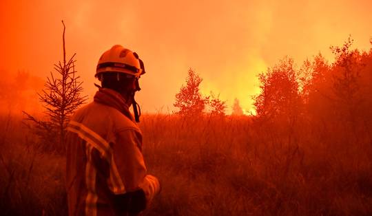 Al meer dan 300 politieagenten en 420 keer 700 liter water ingezet door federale en lokale politie bij natuurbrand Hoge Venen