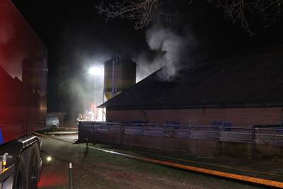 Brand in varkensstal in Kootwijkerbroek