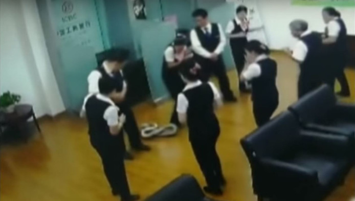 Python valt in Nanning, China door het systeemplafond