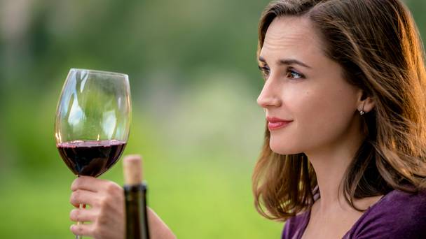 Autumn in the Vineyard