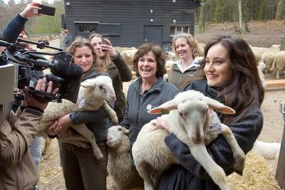 Jill adopteert eerste lammetje in Rheden en ontmoet zieke Britt (8)
