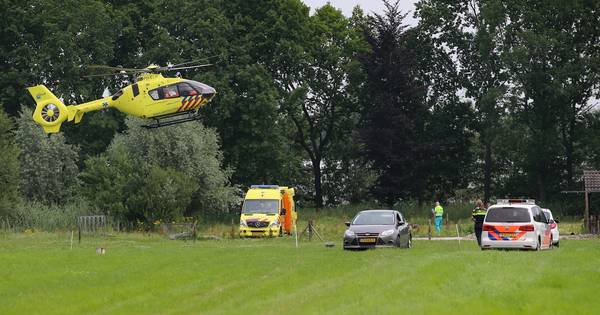 Gewonde na val van paard in 's Gravenmoer moet naar het ziekenhuis - BN DeStem