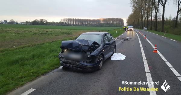 Botsing tussen auto en politiewagen door dode ree op weg bij Zuilichem - BD.nl