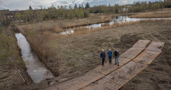 Vergroeningsbeurt voor Heilig Hartpark in Budel-Dorplein | Cranendonck, Heeze-Leende - Eindhovens Da